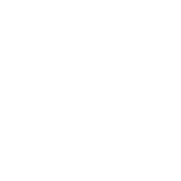 Wordpress web design